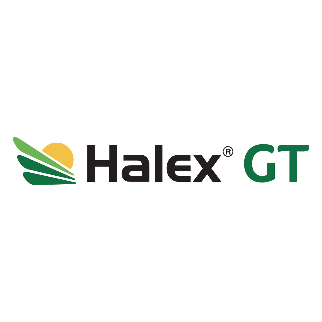 Halex GT