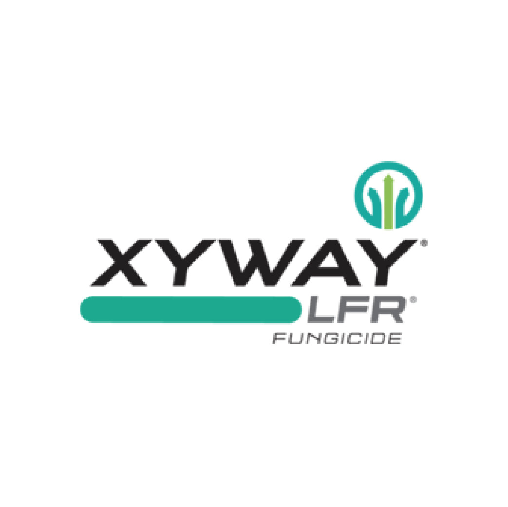 Xyway LFR