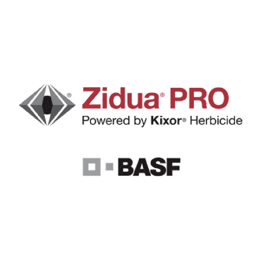 Zidua Pro