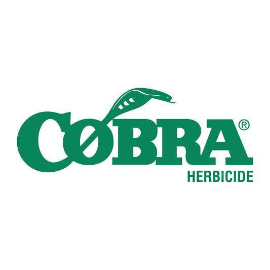 Cobra