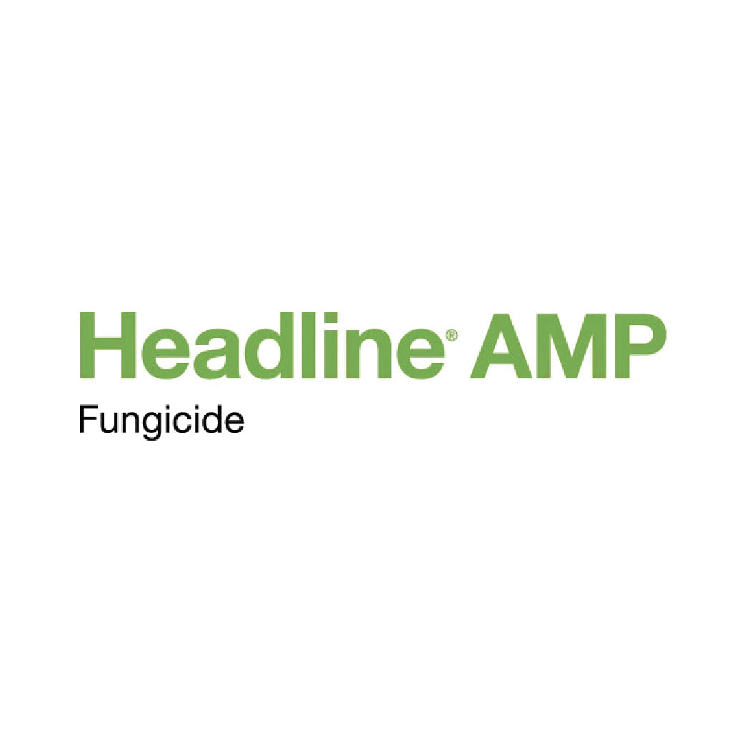 Headline AMP