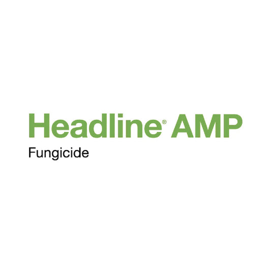 Headline AMP