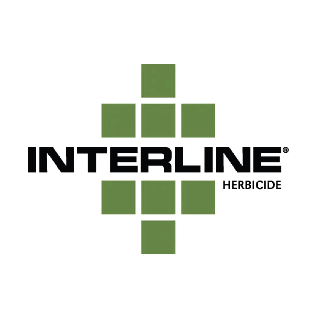 Interline