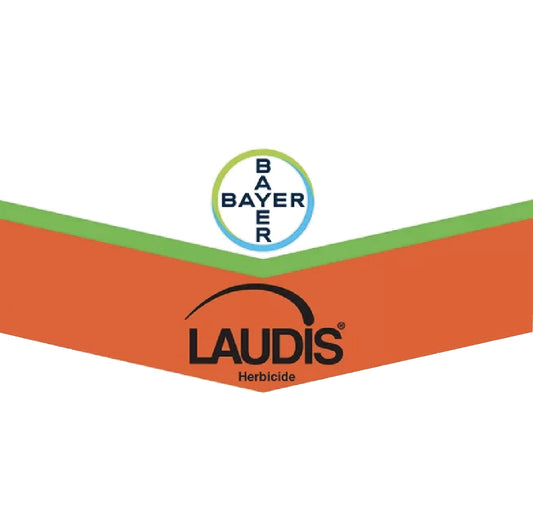 Laudis