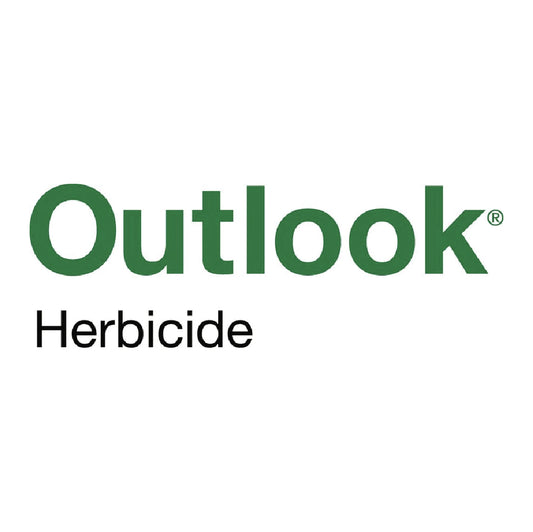 Outlook