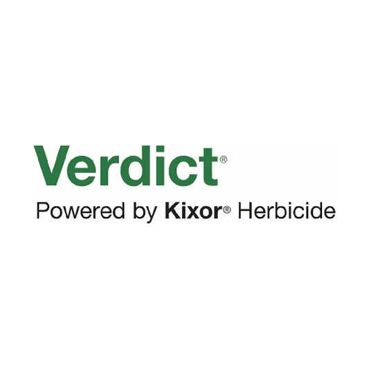 Verdict