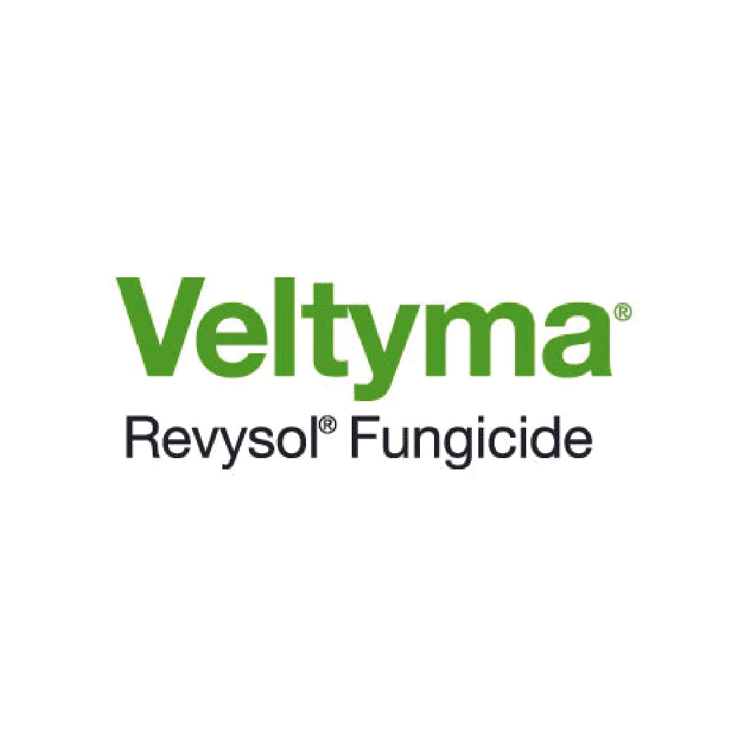 Veltyma